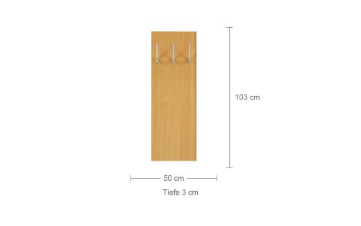 Maße der Garderobe: 50 cm breit, 103 cm hoch, 3 cm tief